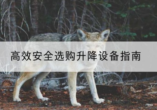 原平升降货梯厂家推荐-*安全选购升降设备指南