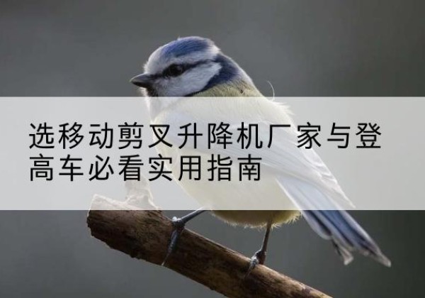 原平电动升降机厂家-选移动剪叉升降机厂家与登高车必看实用指南