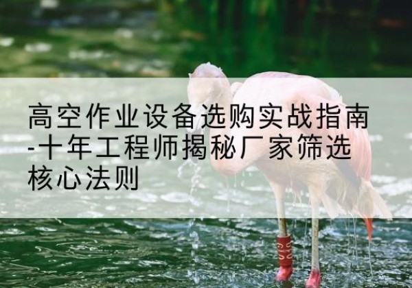 原平剪叉式升降机厂家-高空作业设备选购实战指南-十年工程师揭秘厂家筛选核心法则